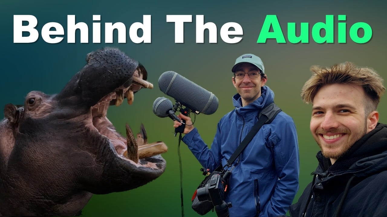 Behind the Sounds: Documenting Animal Hyperrealism Vol IV